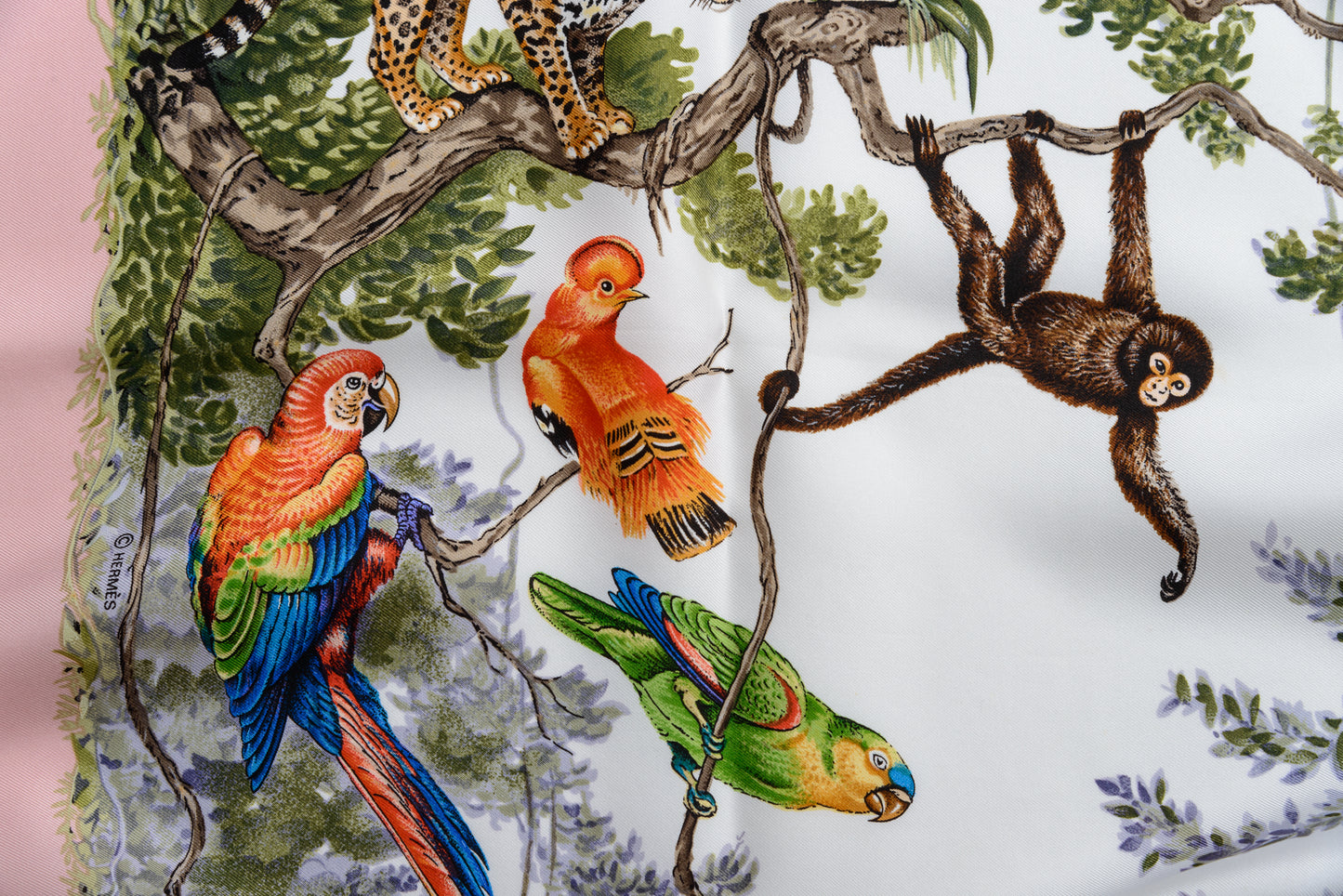 Hermès Silk Scarf Équateur