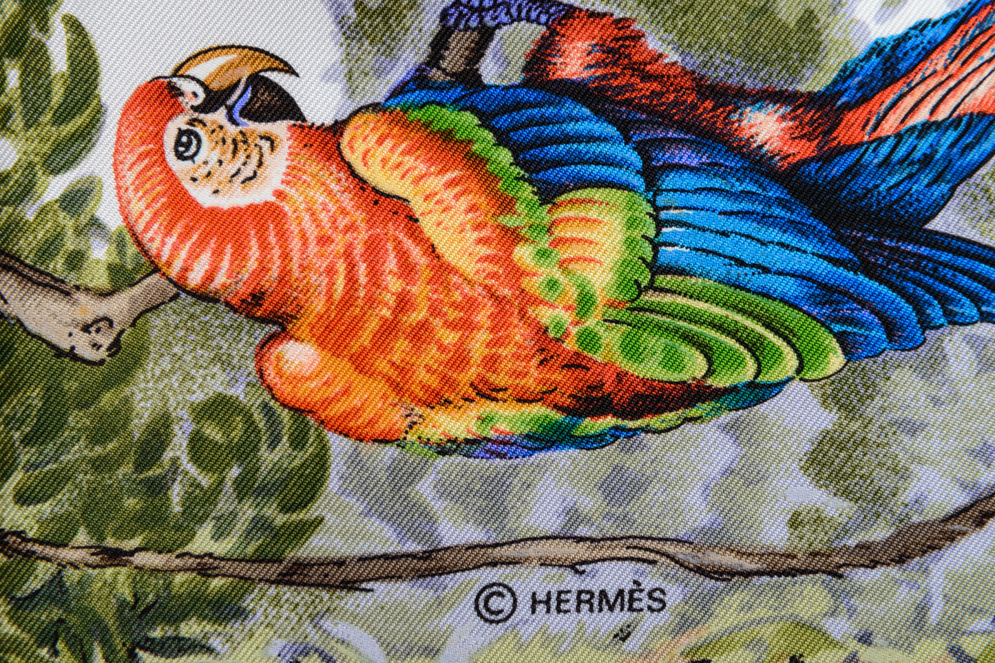 Hermès Silk Scarf Équateur