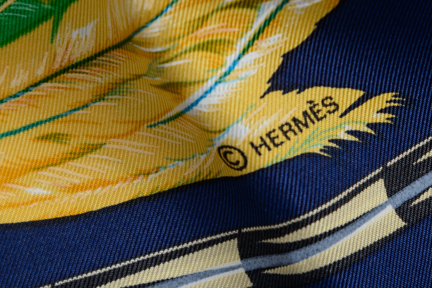 Hermés Silk Scarf Brazil