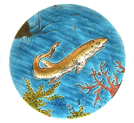 19Th C. Rare Schutz Cilli Majolica Plate Marine Life